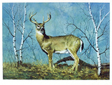 The Stag