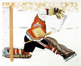 Blackhawk Goalie