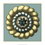 Floral Medallion III