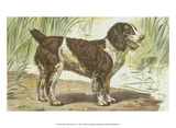 Man's Best Friend IV