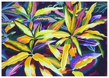 Tropical Leaves