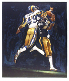 NFL Superbowl XIV