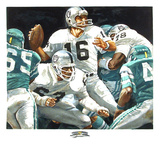NFL Superbowl XV (Jim Plunkett)