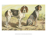 Man's Best Friend VI
