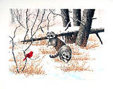 Cardinal