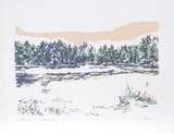 Lake Grove