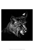 Wildlife Scratchboards IX