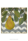 Fruit and Pattern II