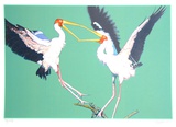 Two Storks