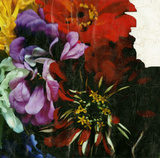 Zinnia Blooms III