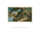 The Cote d'Azur IV