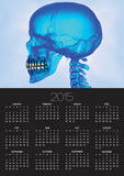 Human Skull