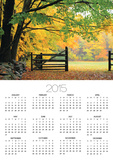 Fall Foliage Surrounds an Open Gate