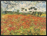 Field of Poppies  Auvers-Sur-Oise  c1890
