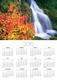 Autumn Leaves by Rushing Waterfall