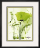 Coquelicot Vert II