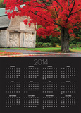 Tree with Red Leaves and Barn