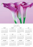 Purple Calla Lilies