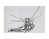 Flying Machine 2
