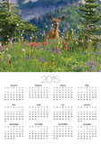 Deer in Wildflowers