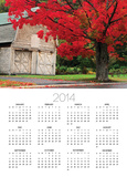 Tree with Red Leaves and Barn