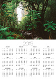 Waimoku Falls and Forest
