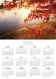 Sunrise Through Autumn Leaves