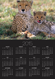 Cheetah Mother and Cub Resting in Shade Together