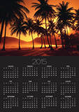 Palm Trees at Beach