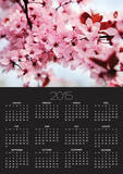 Japanese Cherry Blossom