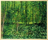 Woods and Undergrowth  c1887