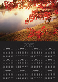 Sunrise Through Autumn Leaves