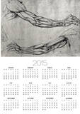 Study of Arms