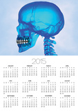 Human Skull