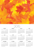 Fall Colored Maple Leaves