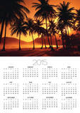 Palm Trees at Beach
