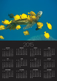 Green sea turtle with passengers