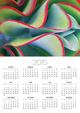 Red-Tipped Leaves of Kalanchoe