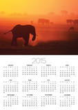 Elephant Herd Silhouetted Against Orange Sky