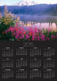 Wildflowers in Bloom by Lake on Mount Rainier