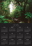 Waimoku Falls and Forest