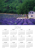 Fields of Lavender by Rustic Farmhouse