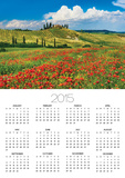 Farmhouse with Cypresses and Poppies