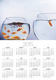 Goldfish Jumping into Different Bowl