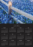 Bluebonnets Along Fenceline