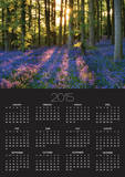 Bluebell Wood at Coton Manor
