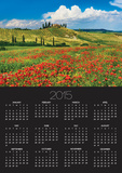 Farmhouse with Cypresses and Poppies