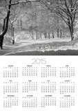 Central Park in Winter