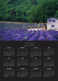 Fields of Lavender by Rustic Farmhouse