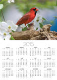 Close-up of Cardinal in Blooming Tree